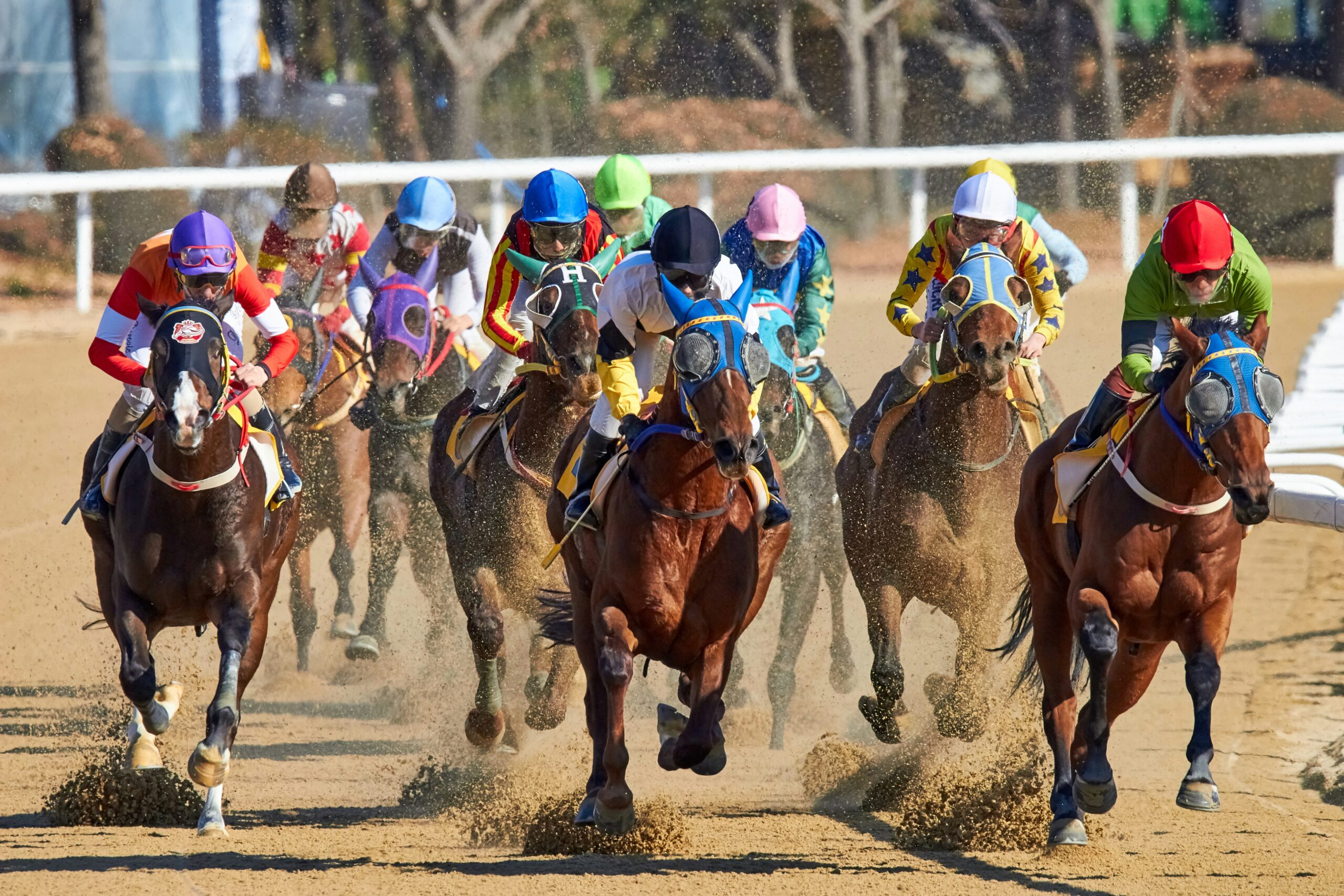 Palio di Siena 2025 diretta streaming 10 luglio 2025 (VIDEO